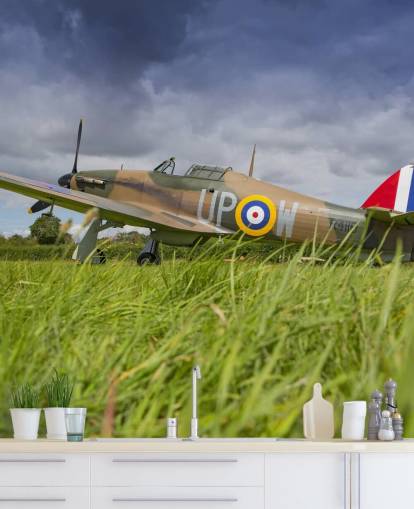 Airplane in Field Wallpaper Airplane in Field Wallpaper