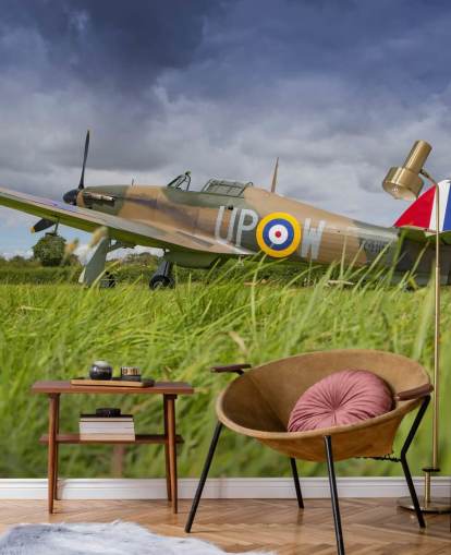 Airplane in Field Wallpaper