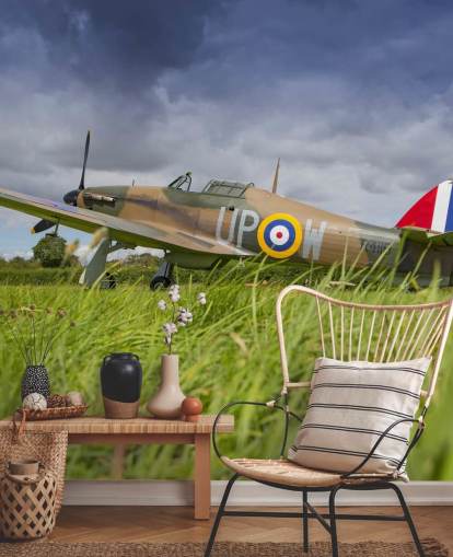 Airplane in Field Wallpaper