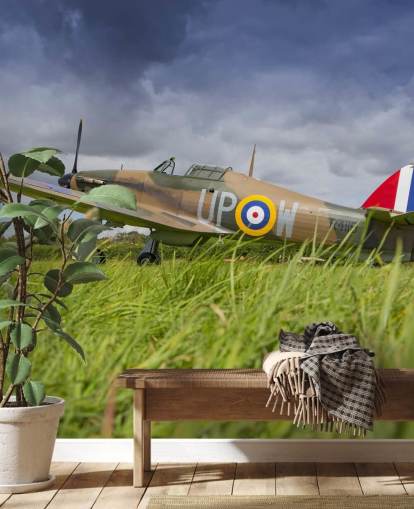 Flugzeug im Feld Wallpaper