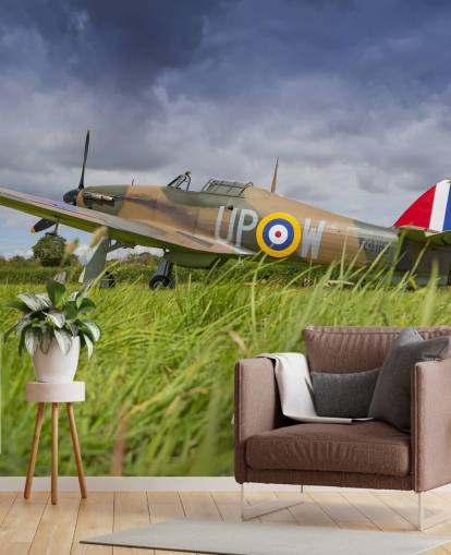 Airplane in Field Wallpaper