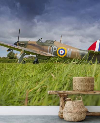 Papel de Parede Avião em Campo Papel de Parede Avião em Campo