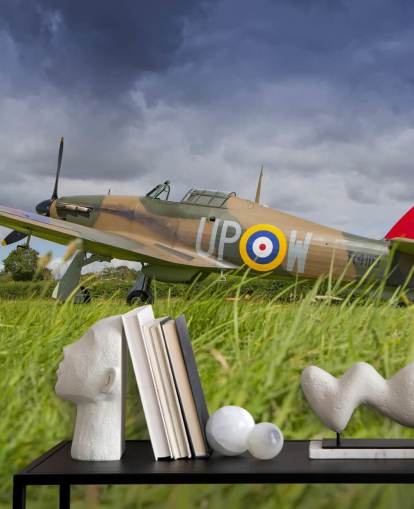 Airplane in Field Wallpaper Airplane in Field Wallpaper