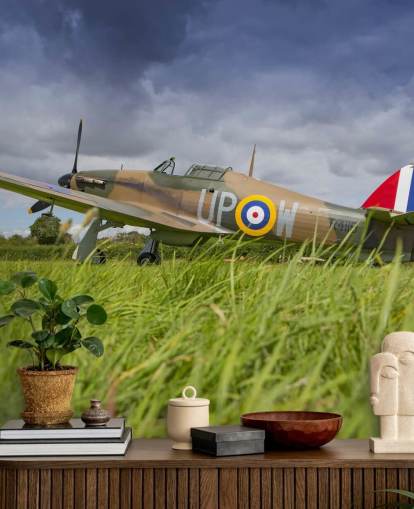 Airplane in Field Wallpaper