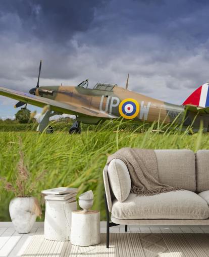 Airplane in Field Wallpaper