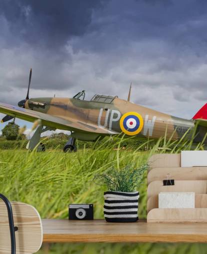 Flugzeug im Feld Wallpaper