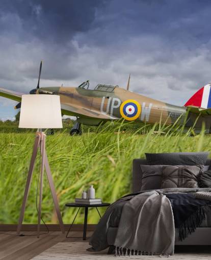 Airplane in Field Wallpaper Airplane in Field Wallpaper