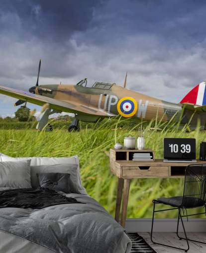 Airplane in Field Wallpaper