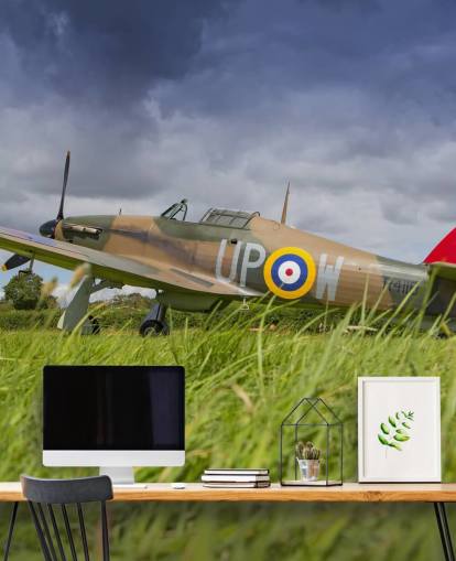 Airplane in Field Wallpaper