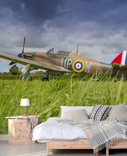 Fondo de pantalla de avión en campo