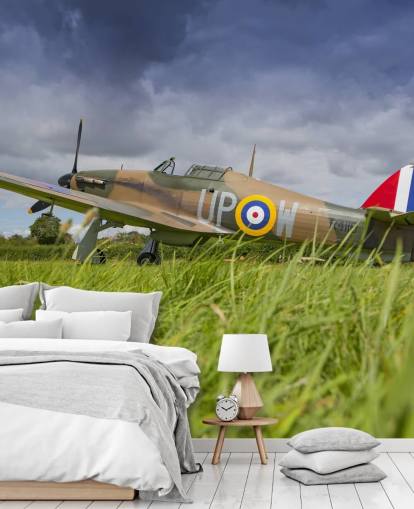 Airplane in Field Wallpaper