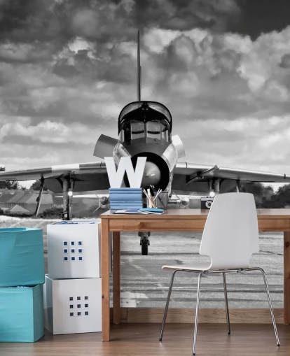 Swedish Electric Lightning T5 Plane Bakgrund