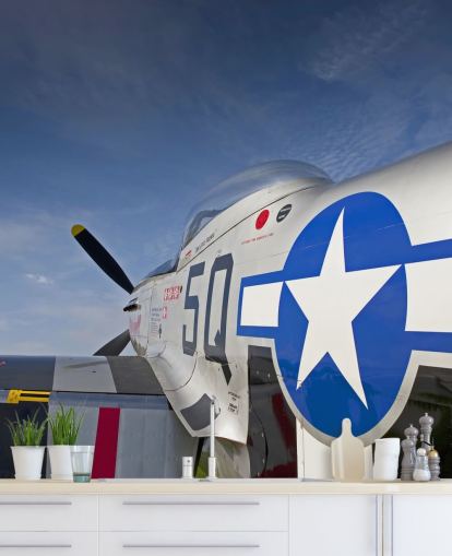 Close Up of Plane Wallpaper