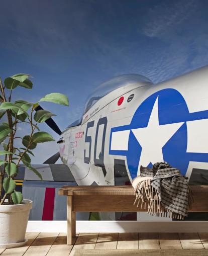 Close Up of Plane Wallpaper