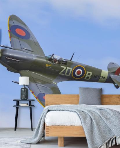 War Airplane Wall Mural