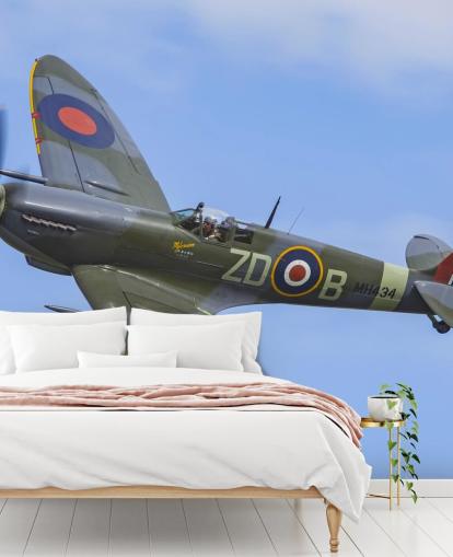 War Airplane Wall Mural