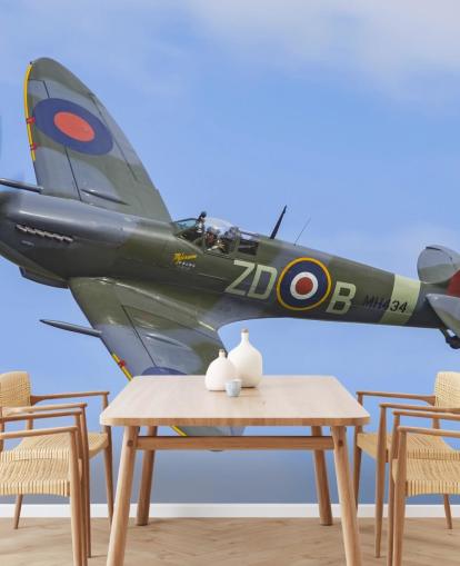 War Airplane Wall Mural