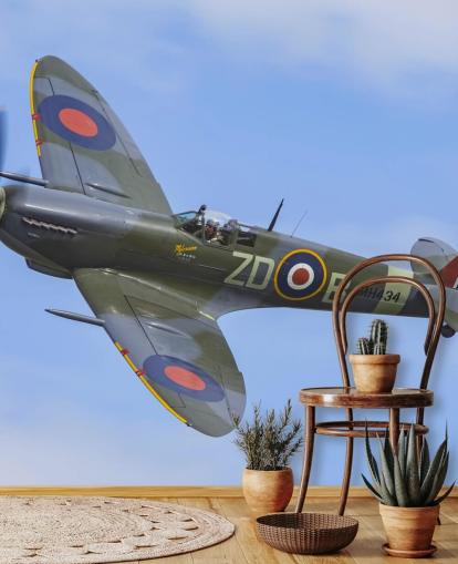 War Airplane Wall Mural