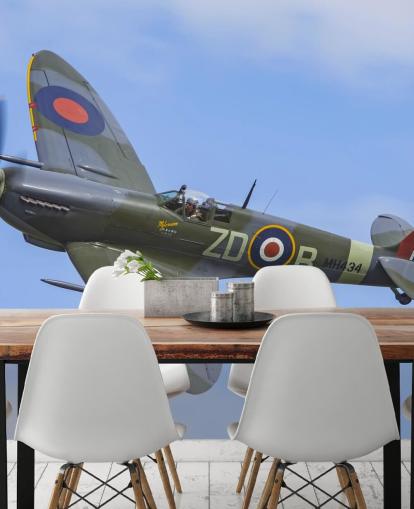 War Airplane Wall Mural