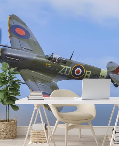 War Airplane Wall Mural