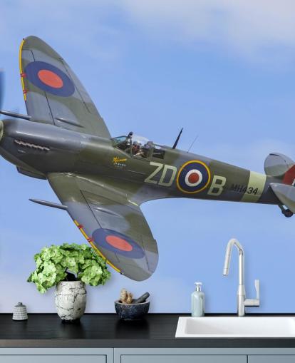 War Airplane Wall Mural