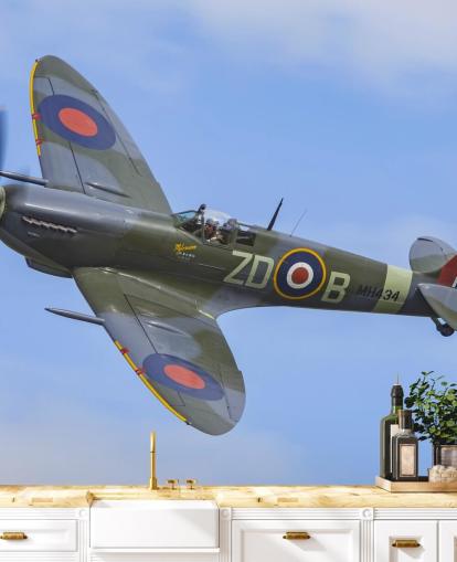 War Airplane Wall Mural