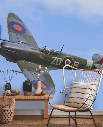 Fotomural Avión de guerra