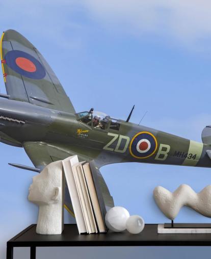 Mural de parede avião de guerra