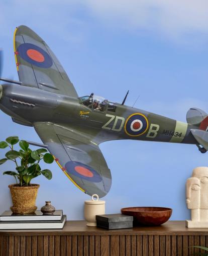 War Airplane Wall Mural