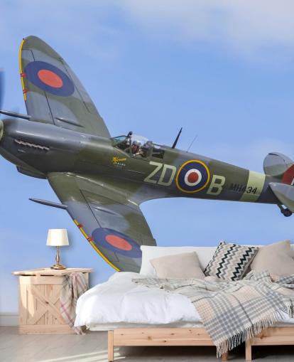 War Airplane Wall Mural