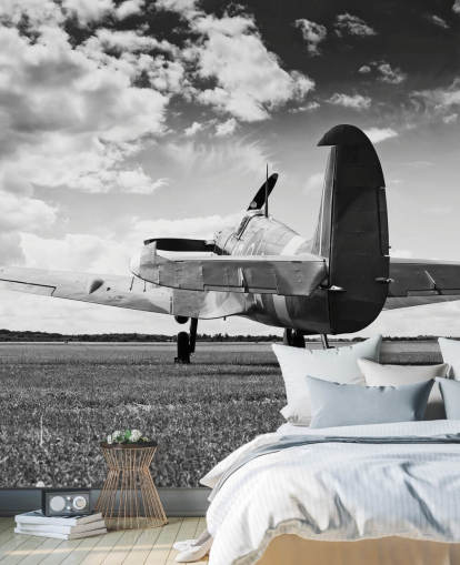 Svart og hvit rier av Plane Bakgrunn