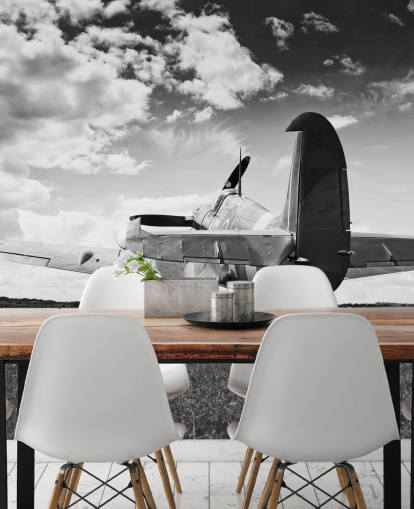 Papel de parede preto e branco do rio do avião