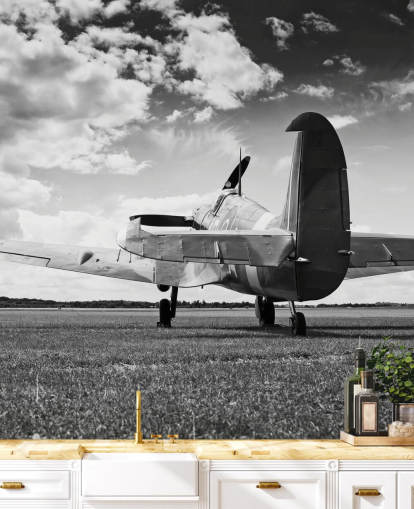 Black and White Rier of Plane Wallpaper