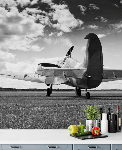 Black and White Rier of Plane Wallpaper