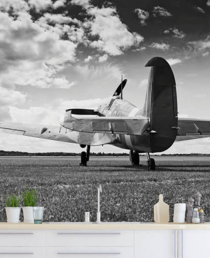 Black and White Rier of Plane Wallpaper