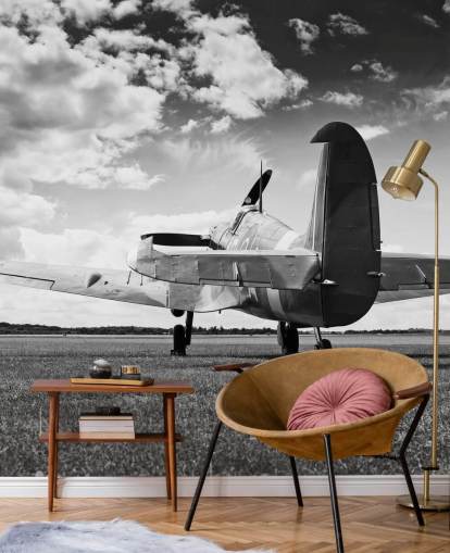 Black and White Rier of Plane Wallpaper