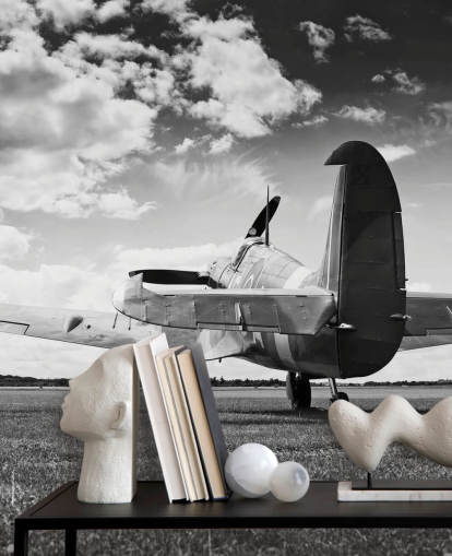 Black and White Rier of Plane Wallpaper