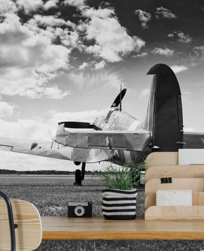 Black and White Rier of Plane Wallpaper