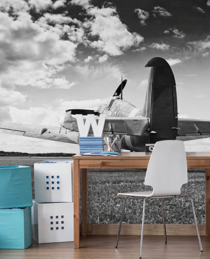 Black and White Rier of Plane Wallpaper