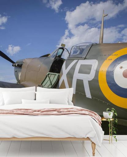 Parkerade Plane Bakgrund