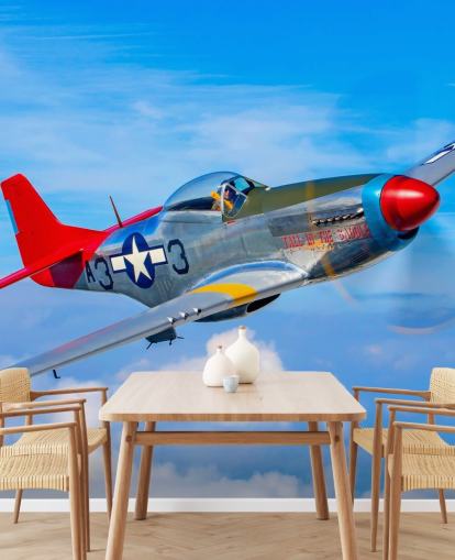 Aeroplane in Blue Sky Wallpaper