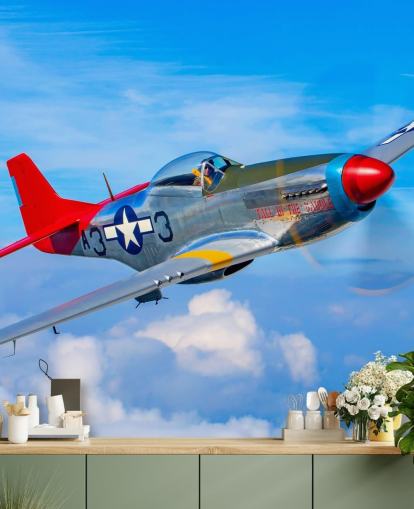 Aeroplane in Blue Sky Wallpaper