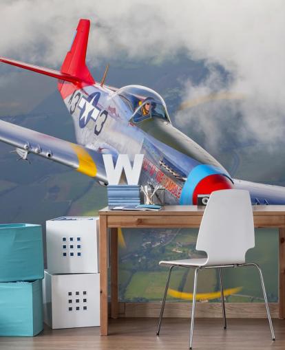 Avión volador sobre los campos fondo