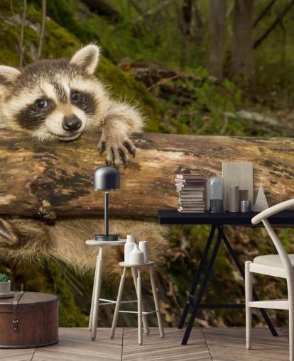 Baby Raccoon Wallpaper Mural