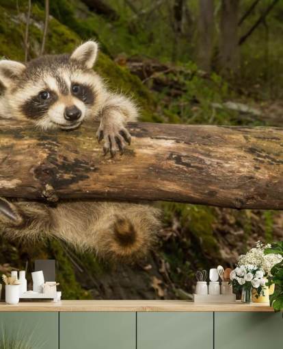 Papier Peint Fresque Bébé Raccoon
