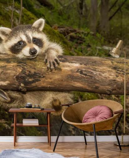 Baby Raccoon Wallpaper Mural