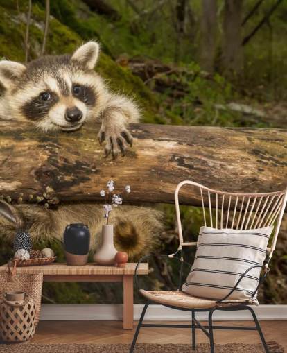 Baby Raccoon Wallpaper Mural