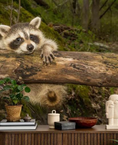 Baby Raccoon Wallpaper Mural