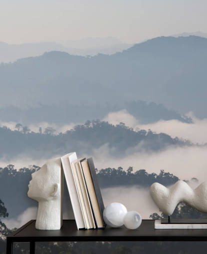 Papel de Parede Misty Forest Mountain