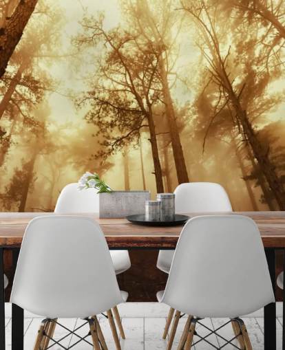 Orange Tinted Forest Wallpaper